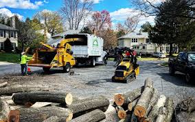 Best Weed Control  in Lebanon, PA